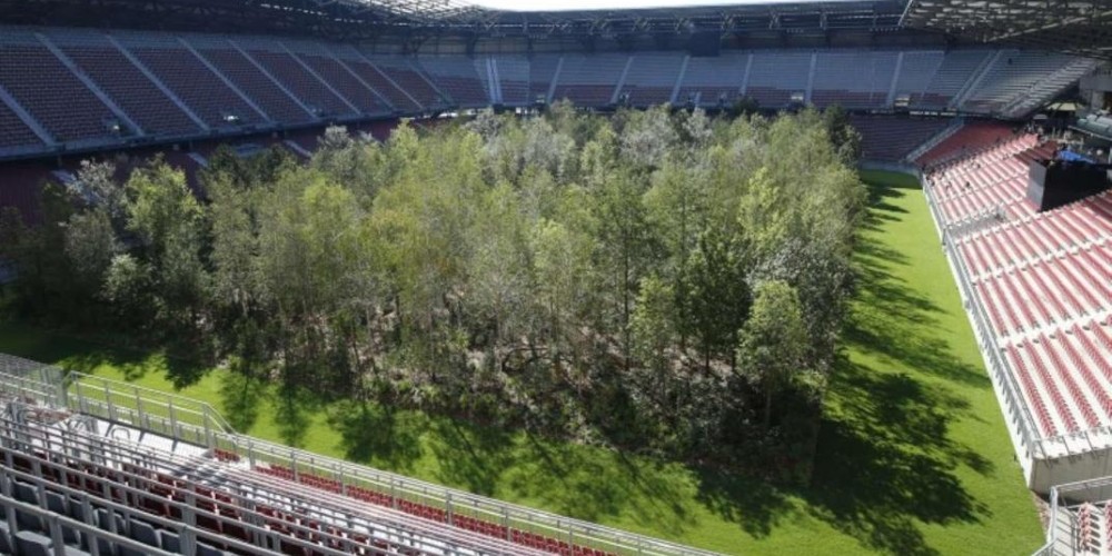 Plantaron un bosque en su estadio por una campa&ntilde;a y ahora no pueden jugar de local