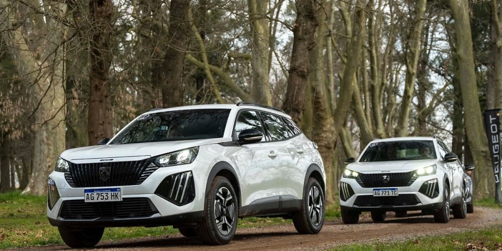 El Peugeot 208 es el m&aacute;s vendido del mercado argentino en 2024 y el Peugeot 2008 l&iacute;der indiscutido del B-SUV